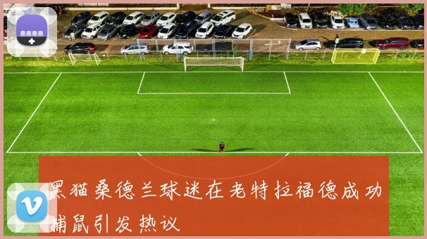 黑猫桑德兰球迷在老特拉福德成功捕鼠引发热议