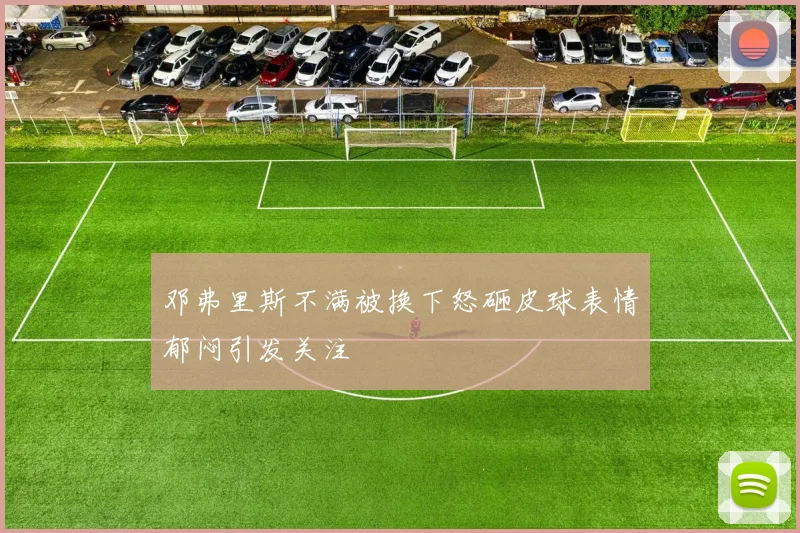 邓弗里斯不满被换下怒砸皮球表情郁闷引发关注