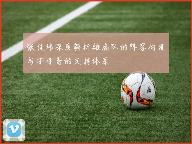 张佳玮深度解析雄鹿队的阵容构建与字母哥的支持体系