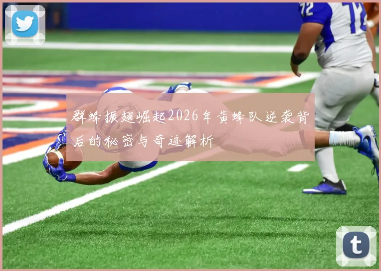群蜂振翅崛起2026年黄蜂队逆袭背后的秘密与奇迹解析