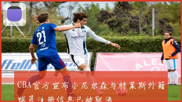 CBA官方宣布小尼尔森与特莱斯外籍球员注册信息已被取消