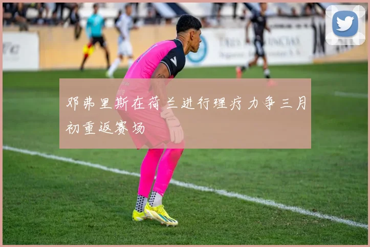 邓弗里斯在荷兰进行理疗力争三月初重返赛场